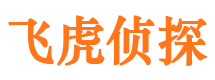 会理市侦探调查公司